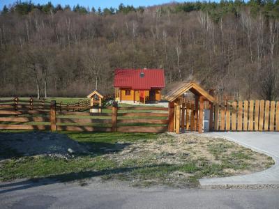P1010659.jpg